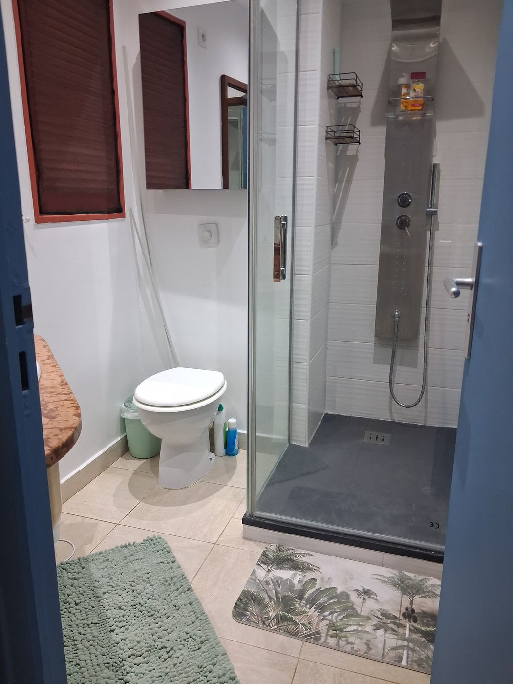 La douche à paroi vitrée et les sanitaires